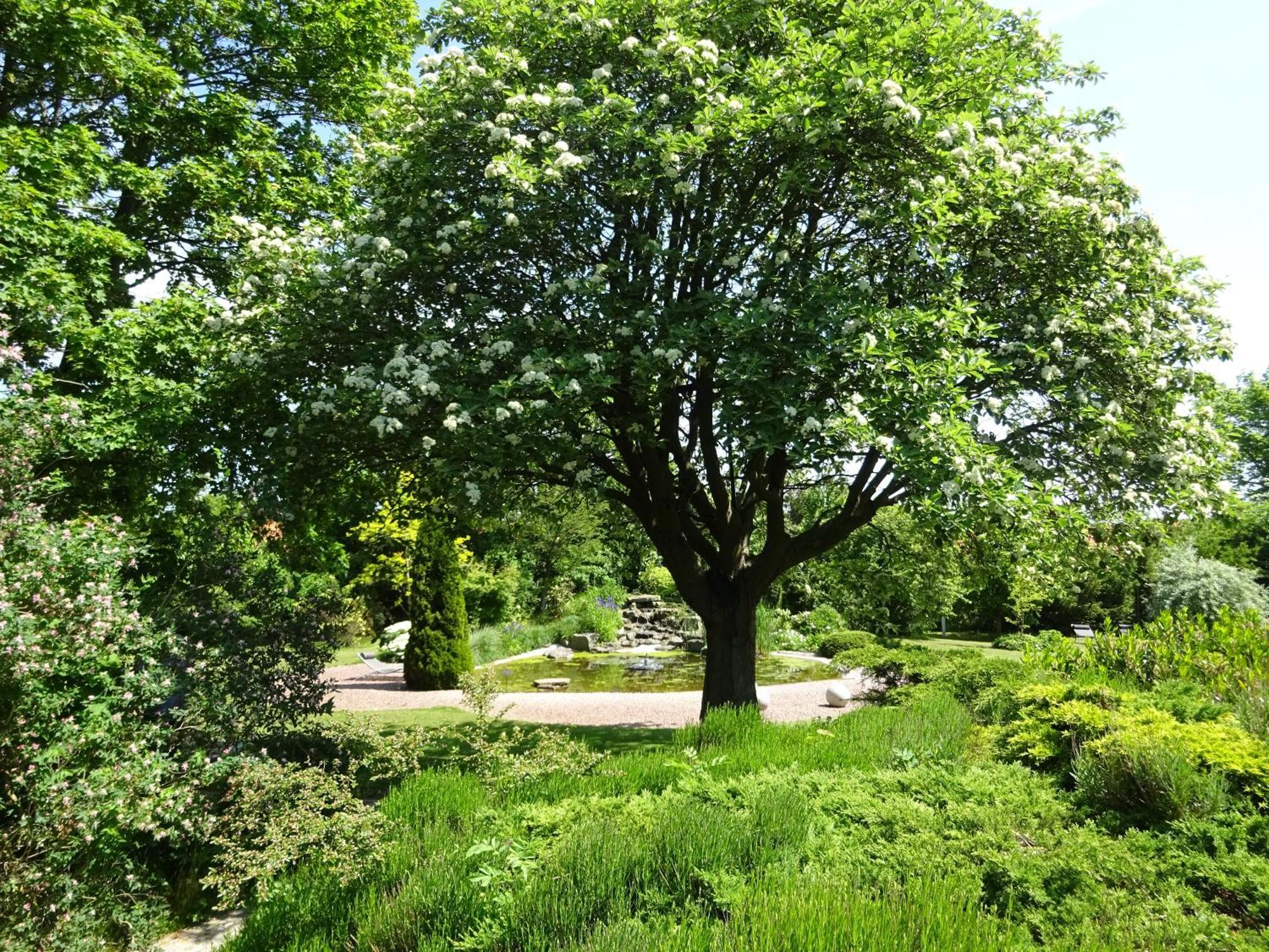Solrosen I Simrishamn - Oesterlen Esterno foto