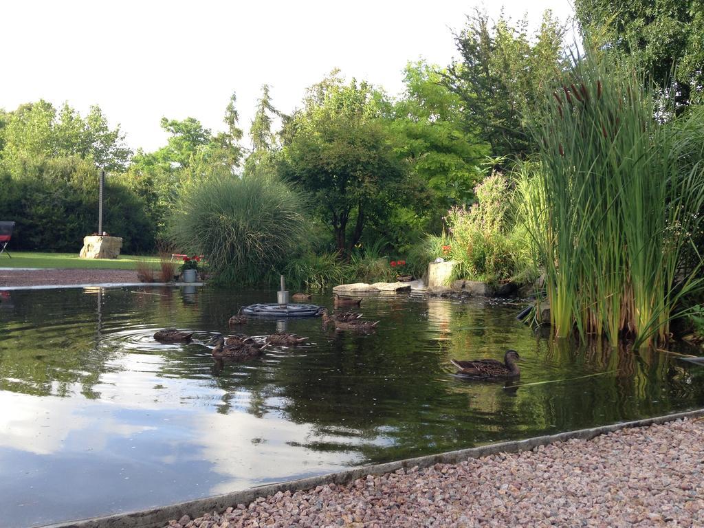 Solrosen I Simrishamn - Oesterlen Esterno foto