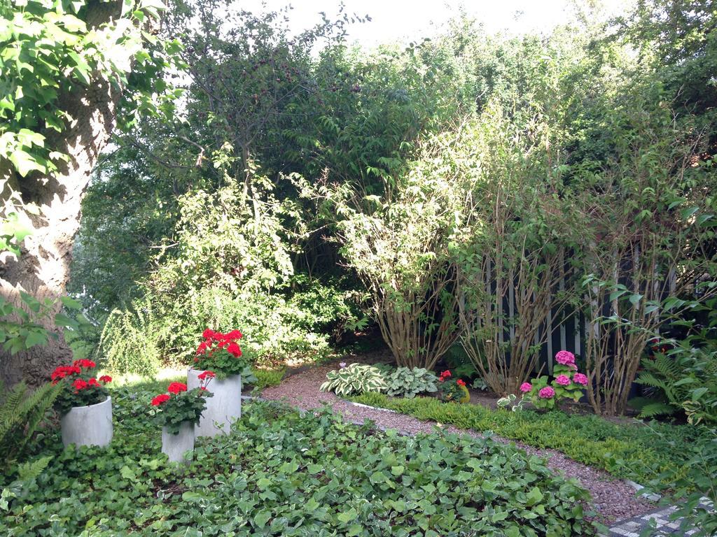 Solrosen I Simrishamn - Oesterlen Esterno foto