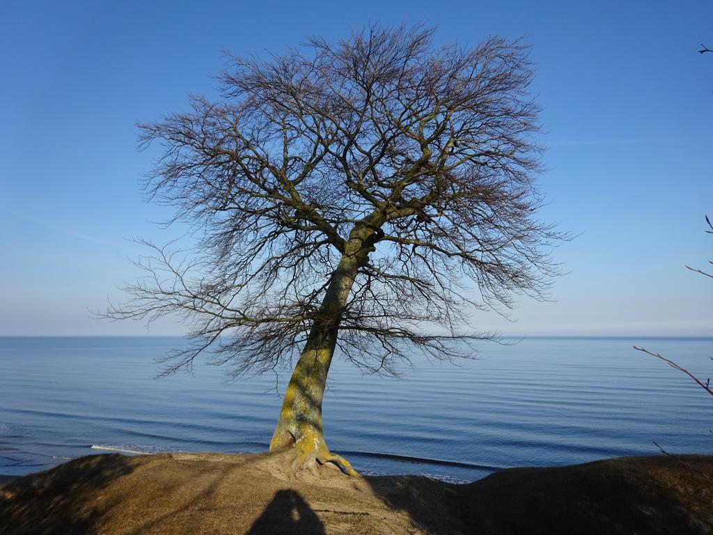 Solrosen I Simrishamn - Oesterlen Esterno foto